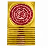 10 Packs of Hand-Sliced Iberico Bellota Ham, 36-Month Cured, Acorn-Fed, 100% Iberian Breed Pata Negra, Gourmet Jamon Iberico de Bellota, 30 oz Total (3 oz Each), Vacuum-Sealed for Freshness