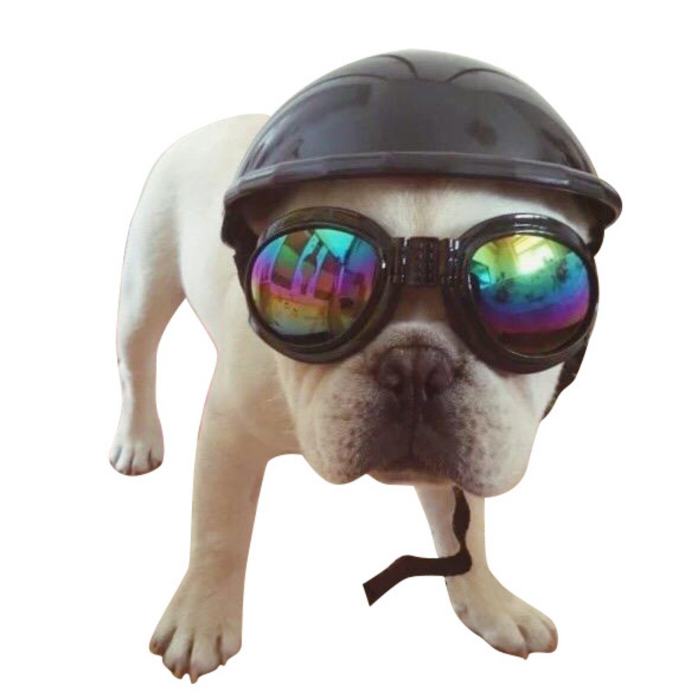Balai Pet Funny Coole Motorräder Fahrradhelm Hut, einstellbare Hund Hut für Sonnenschutz 5 Farben 4 Größen Haustier