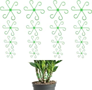 16 Pcs Plant Stem Support 4 Sizes Climbing Houseplant Holders Plastic Reusable Flower Trellis Stem Hook Plant Care Growth Accessories for Flower Indoor Outdoor
