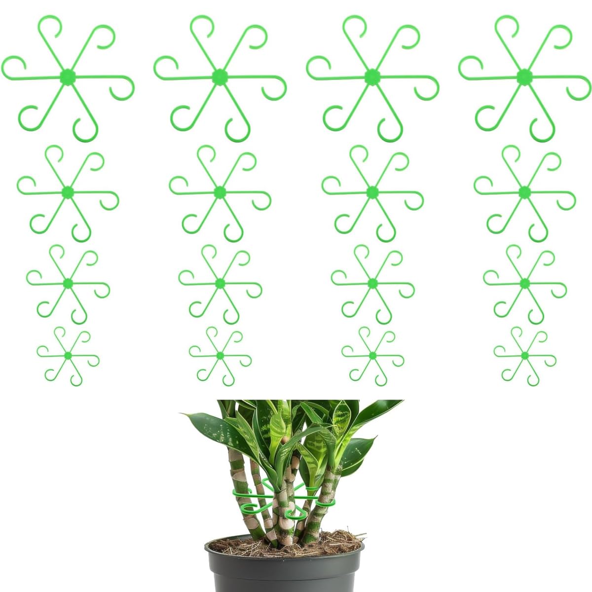 Acquista 6 Set Supporto universale per piante Piante rampicanti in plastica multistrato Supporti per rack Forniture da giardinaggio in Italia a partire da 2.49 Acquista 6 Set Supporto universale per piante Piante rampicanti in plastica multistrato Supporti per rack Forniture da giardinaggio in Italia a partire da 2.49