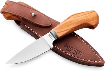 LionSTEEL WILLY Compact EDC Fixed Blade Knife, Solid Handle Construction, Titanium Guard, M390 Steel Blade, Made in Italy