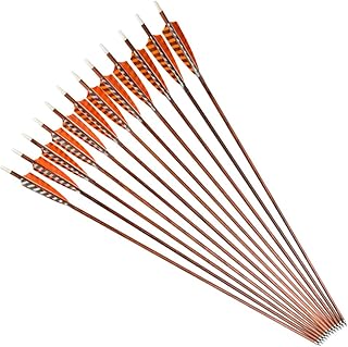 NIKA ARCHERY 30 inch Feather Carbon Arrows Wood Camo Shaft SP400 for Outdoor Target Hunting 12 Pieces/6 Pieces