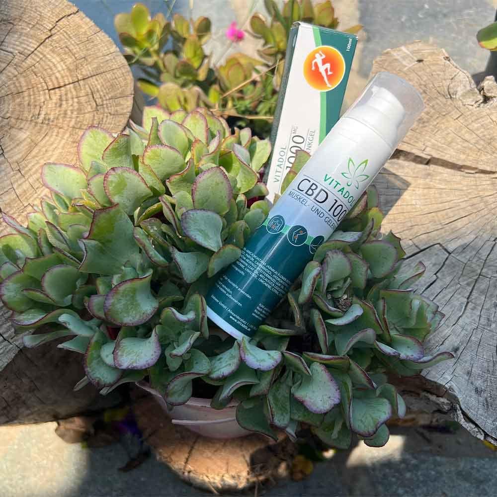 Vitadol CBD Gel mit 1.000 mg CBD HOCHDOSIERT - Cannabis Sport Creme für Muskel und Gelenke (Arnika, Schachtelhalm, Pfefferminze)