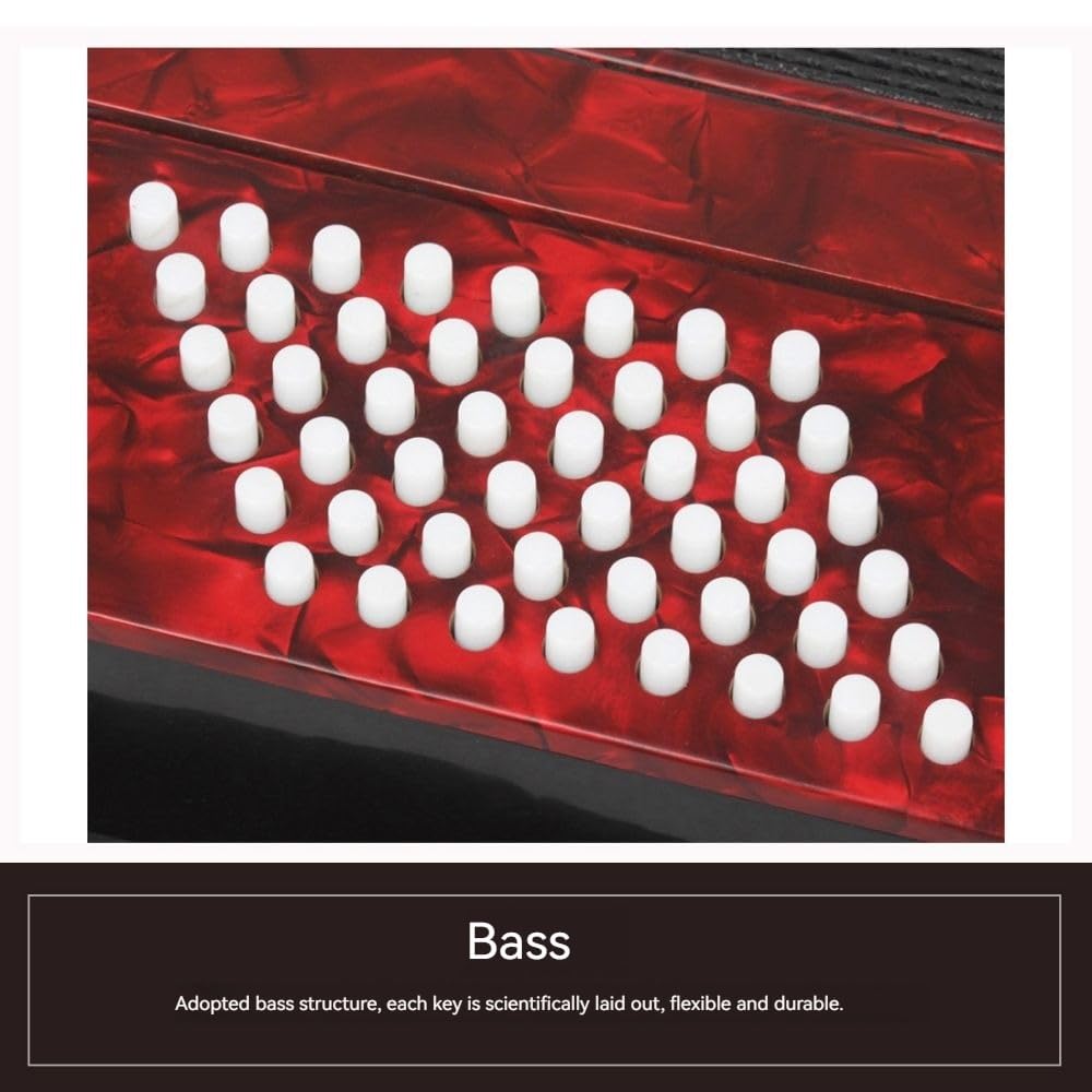 Fisarmonica a 26 tasti e 48 bassi, corpo in ABS, superficie blu con vernice for pianoforte, interruttore audio, adatta a principianti e professionisti, custodia inclusa e nastro for chitarra