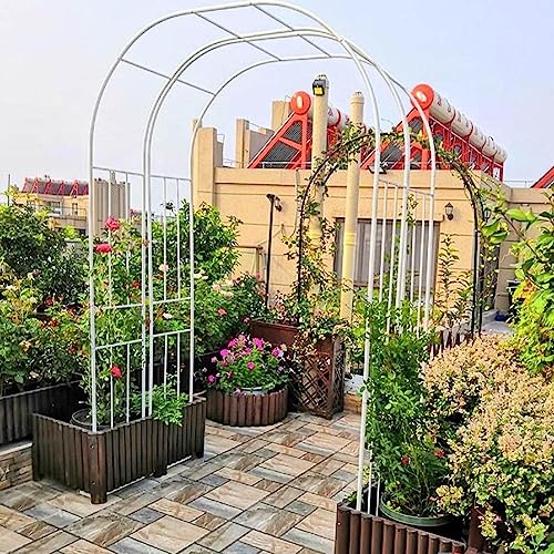 Arche de jardin pour rosiers décorative sur terrasse et patio - 5