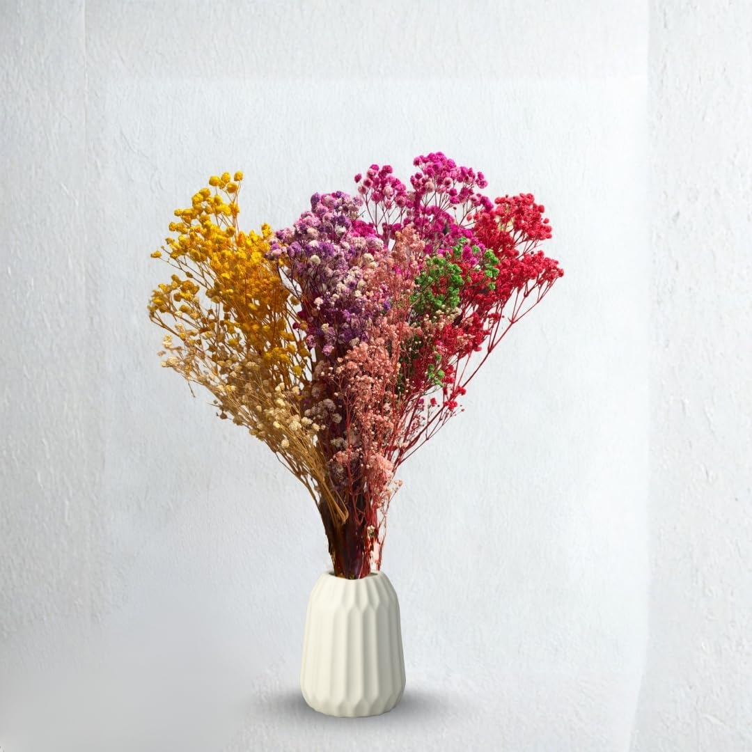Idika Living | Natural Preserved Baby's Breath Bunch Dried Flowers |Home Decor |Vase Filler| Flower for Home, Office, Bedroom Decoration (Without Vase Pot)| Organic Sustainable | Height- Approx 36 cm-picture-20