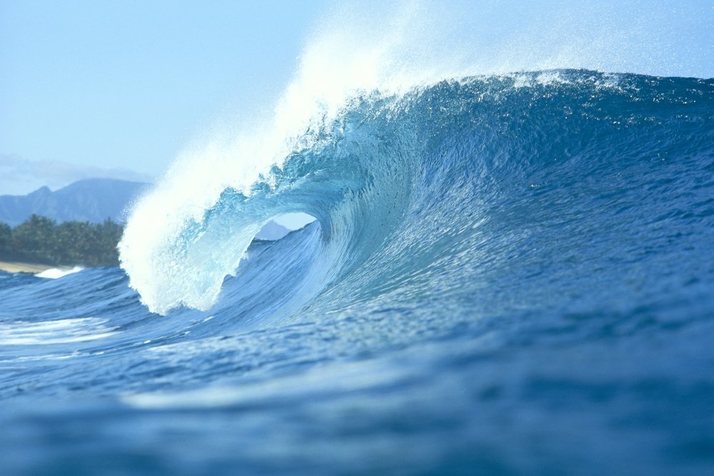Amazon.com: Posterazzi Side View Of Large Wave With Curl Breaks