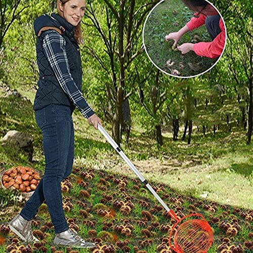 Rouleau Ramasse Noix, collecteur de Noix réglable Récolteuse de Fruits à Rouleaux de Jardin pour ramasser des Noix, des Glands, des Noix de pécan, des Boules et d'autres Objets sans se pencher