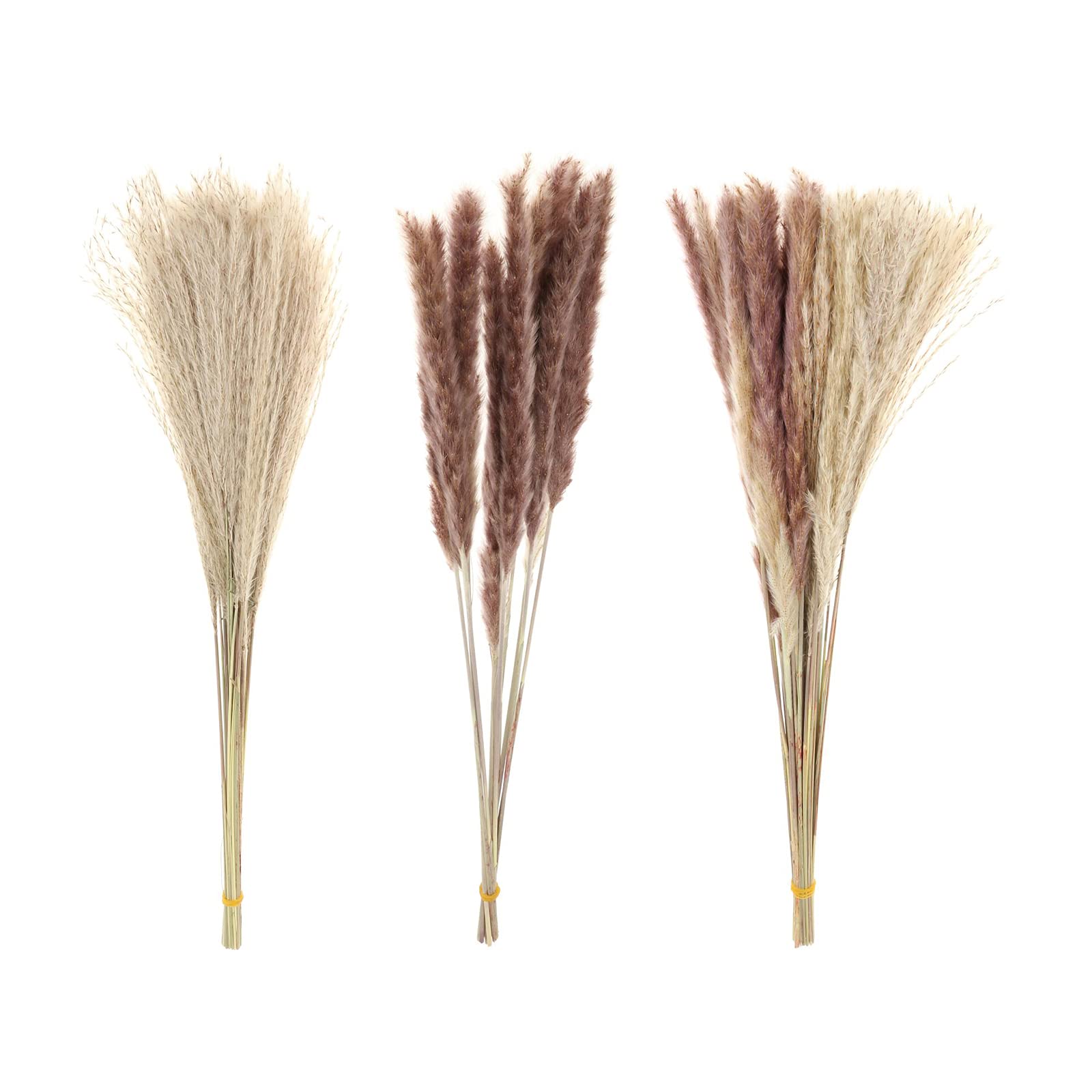 Guirlande Artificielle Plantes Fleurs，70pcs Bouquet d'herbe De Pampa Sèche Ferme Décoration De La Maison Accessoires De Photographie