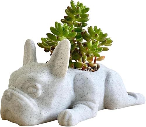 French Bulldog - Macetas de resina para suculentas para perros, mini maceta de aire para cachorros, maceta pequeña para plantas, bonitas macetas de