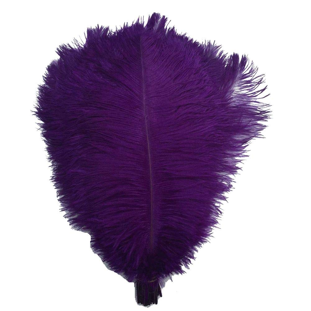 Shekyeon 16-18inch 40-45cm Ostrich Feather DIY Craft Feather Pack of 10(Purple)