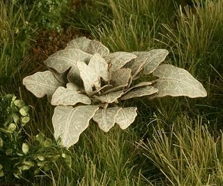VG4-002 1/45-1/56 Burdock Diorama Upgrade Accessories Coloured Paper