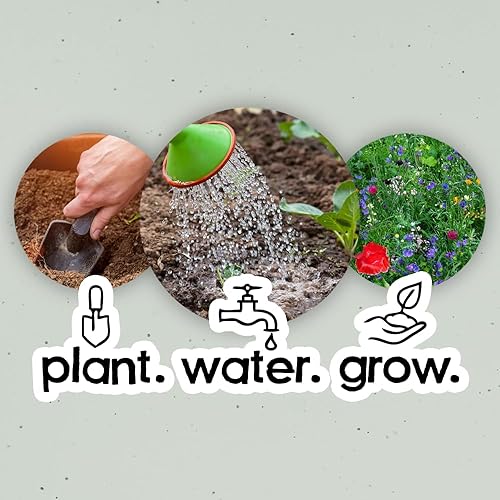 Miniatura 4 de Green Field - Papel de semillas para manualidades, papel de arte plantable sostenible sin árboles de flores silvestres para bodas, cumpleaños,