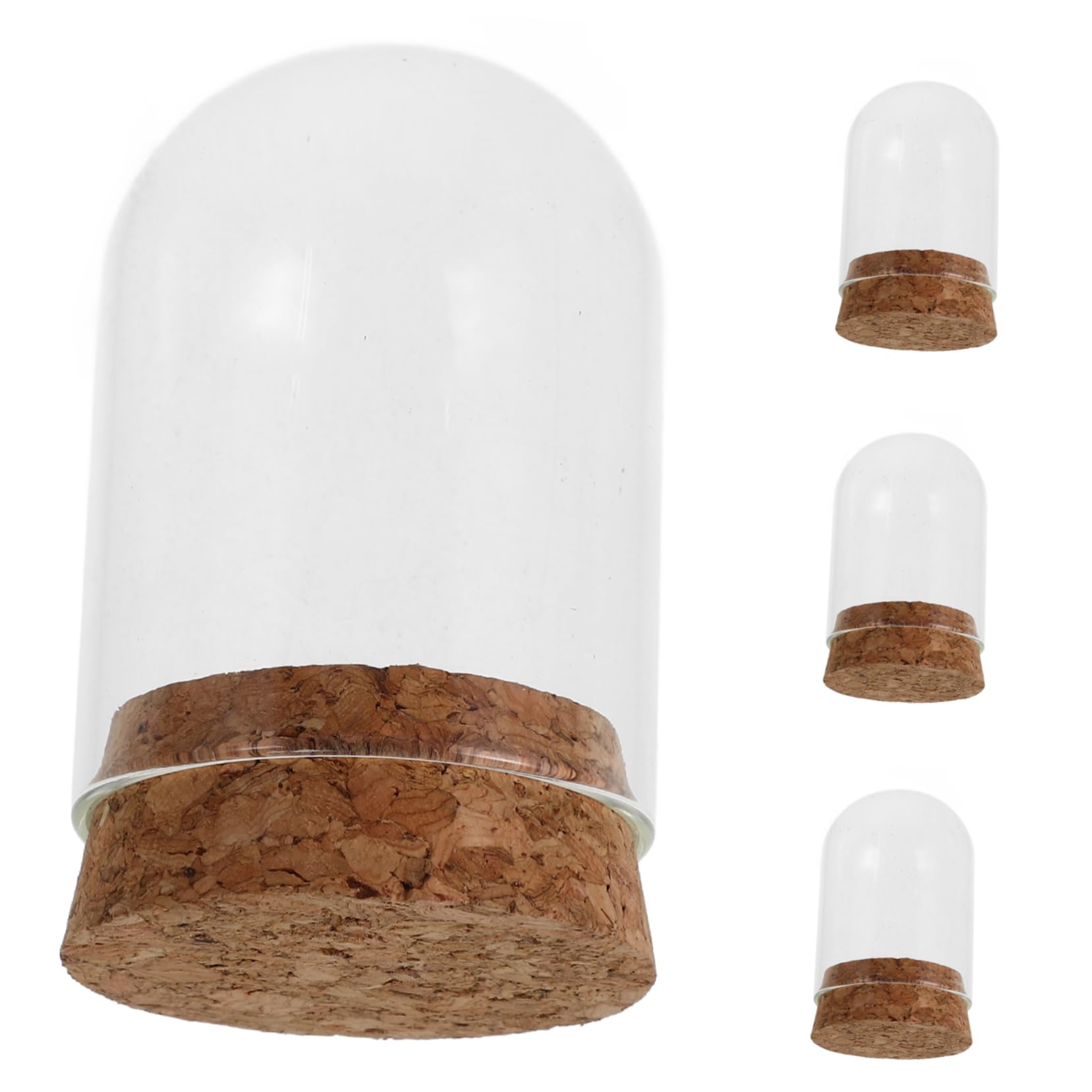 Ciieeo 4Pcs Glass Display Dome with Plate Transparent Glass Preserved Flower Tray Model Display Dome with Base for Tabletop Decorative Showcase with Stopper Base