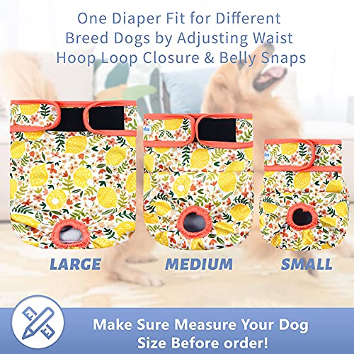 Couches pour chien réutilisables ultra absorbantes XL - 6