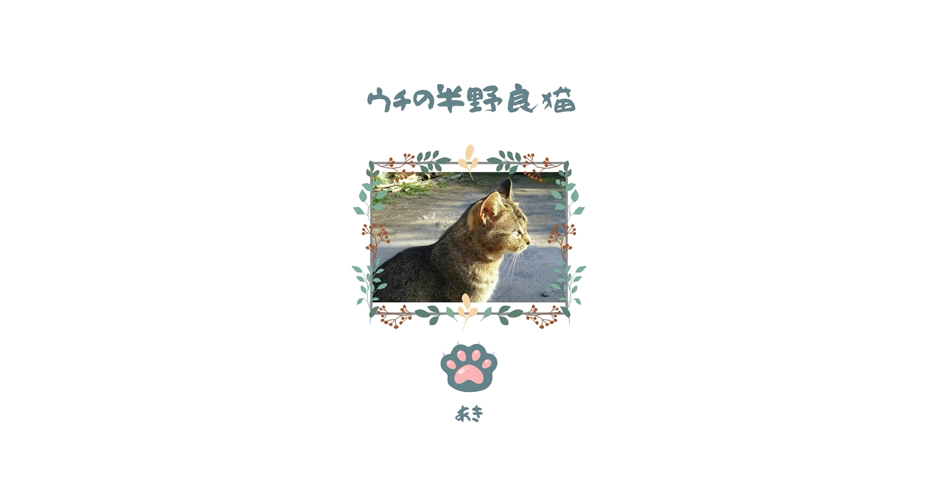 ウチの半野良猫 | あき |本 | 通販 | Amazon
