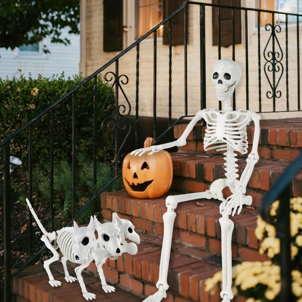 JOLCEEY 1 scheletro mobile per Halloween, 90 cm, realistico, ossa di scheletro umano, articolazioni mobili per tutto il corpo, con scheletro di cane a 3 teste, per oggetti di scena di Halloween
