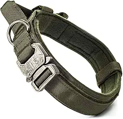 Coleira para Cachorro Grande e Forte MADOG Comander (G, VERDE)