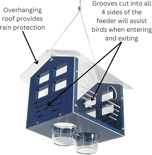 Miniatura 4 de JCS Wildlife Alimentador de Bluebird incluido 2.0