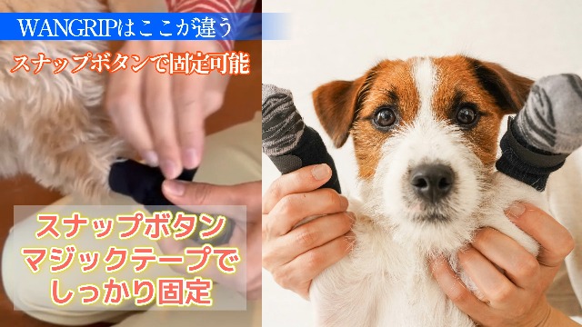 Amazon.co.jp: 【ベルトが固定可能に】WANGRIP 犬 靴下 滑り止め 脱げ