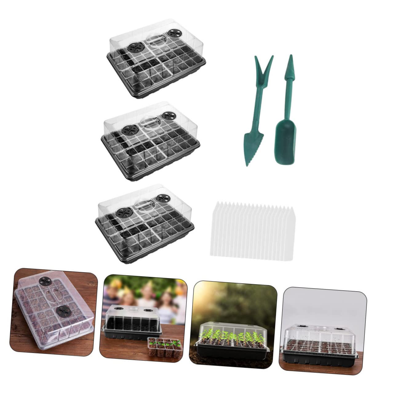 Plateau de Germination pour Plantes, Lot de 1 Set de Set, Pp, Trous