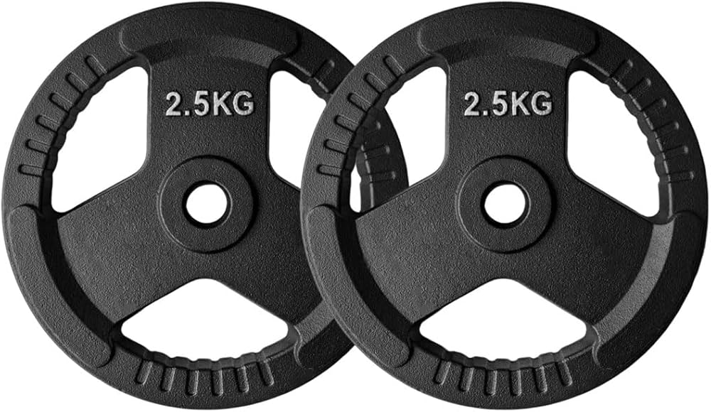 Amazon | NASUTO ヘビープレート「2.5kg*2 セット」 プレート セット