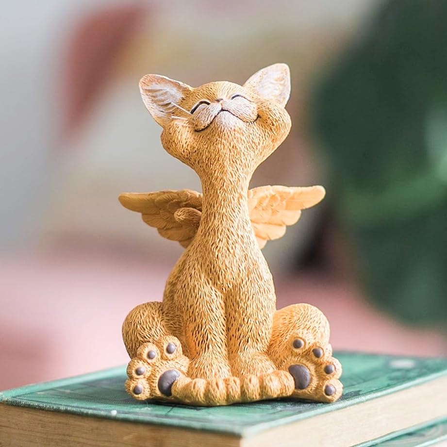 Amazon.com: JFSM INC. 5 Amazon.com: JFSM INC. 5