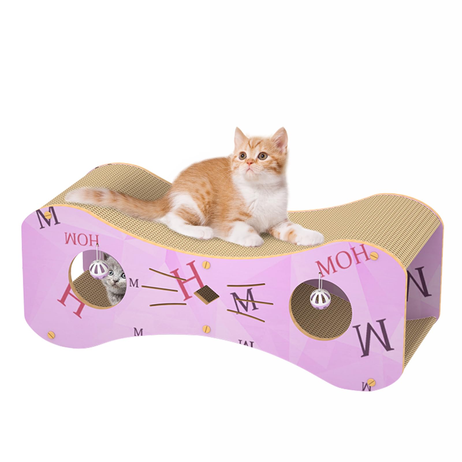 KEN　オテロイ　赤猫　ゴリ猫　超ボールタイプ　コンパクト　9 アガベ チタノタ オテロイ 赤猫 ゴリ猫 超ボールタイプ コンパクト 9