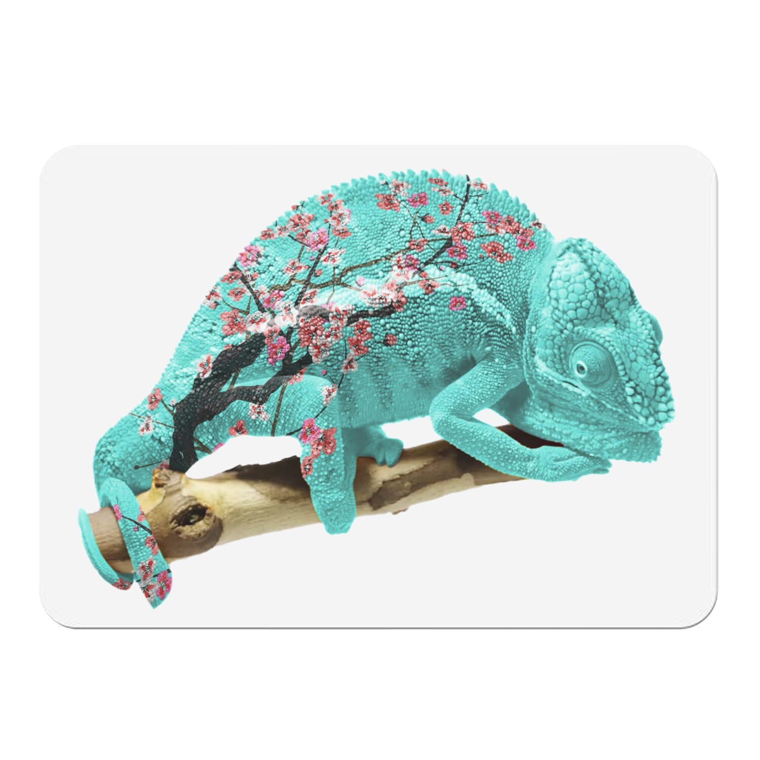 Napperons en liège de qualité supérieure Sakura Chameleon | Lot de 4 grands sets de table