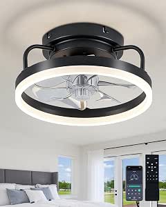 Ceiling Fan with Lights, Remote, and App Control, 12-inch Black Flush Mount Modern Fan