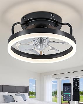 Ceiling Fan with Lights, Low Profile Ceiling Fans with Lights and Remote, Flush Mount LED Fan Light, Modern Bladeless Fandelier for Bedroom Works with APP, 12IN Black