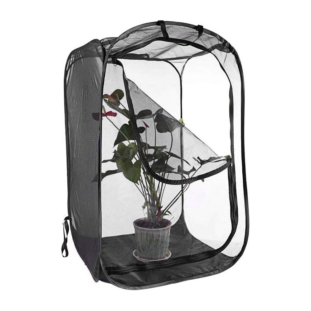 Hábitat para Insectos - Jaula de Malla para Insecto Palo, Oruga y Otros - Kit de Casa Red Terrario con Flujo de Aire