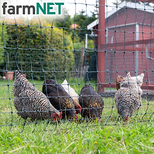 VOSS.farming farmNET 50m Hühnerzaun, Geflügelnetz, 112cm, 16 Pfähle, 2 Spitzen, grün, ohne Strom, Hühnernetz, Hundenetz, Katzennetz