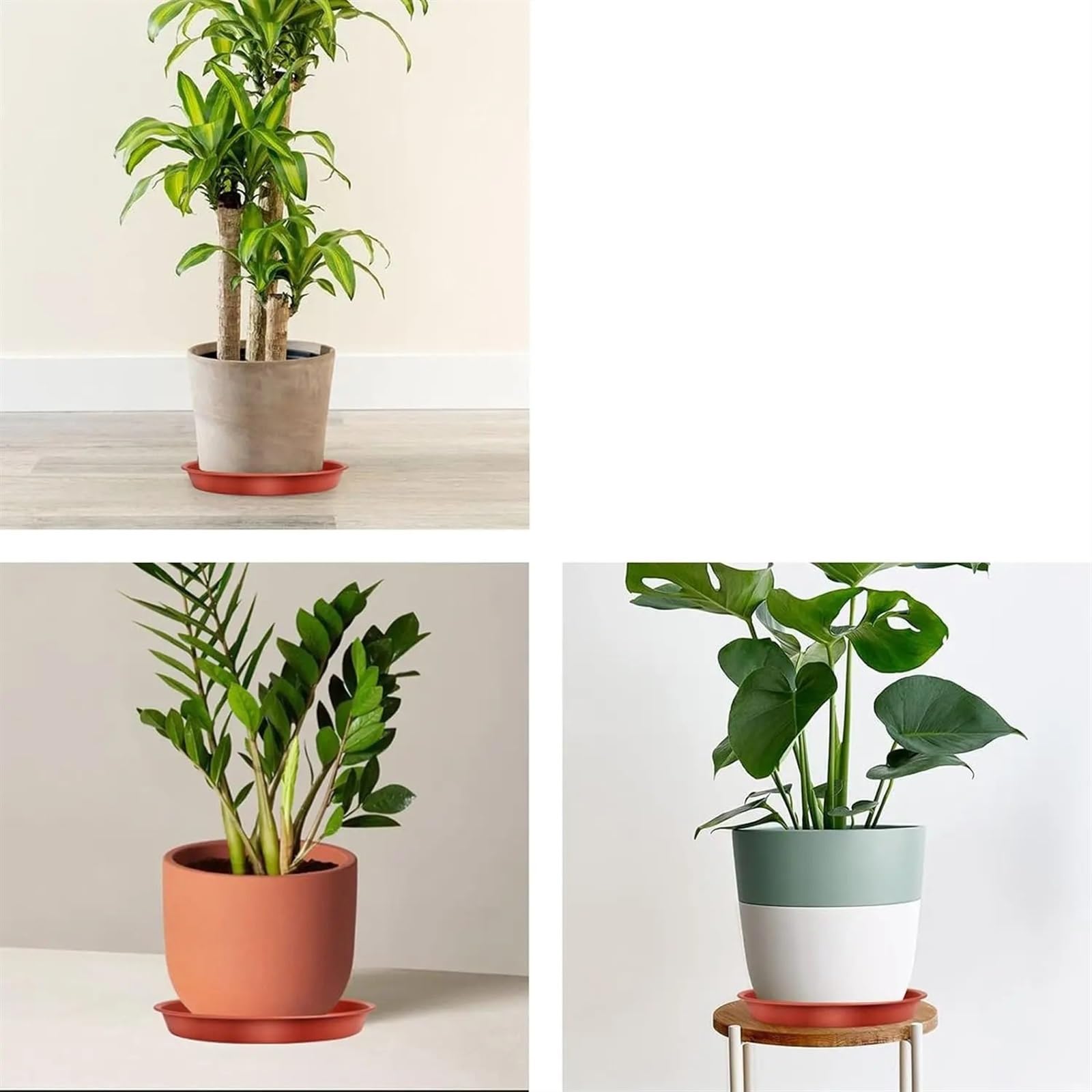 Juego de 5 platillos for plantas, redondos, con goteo, bandejas de PP más gruesas for plantas, macetas for interiores y exteriores, suministros for el jardín del hogar Bandeja Para Macetas(5Pcs Brown