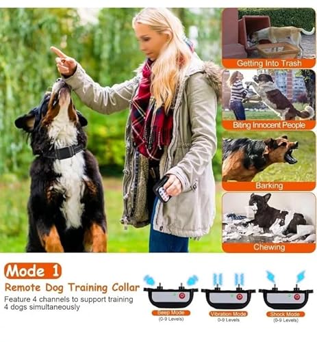 Dog Training Collar Real-World Use