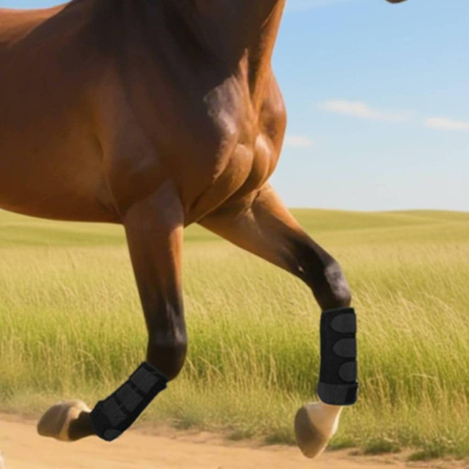 Predolo 4 Pezzi Protezioni Gambe Cavallo Antiurto Parastinchi Ammortizzanti Attrezzatura Equestre