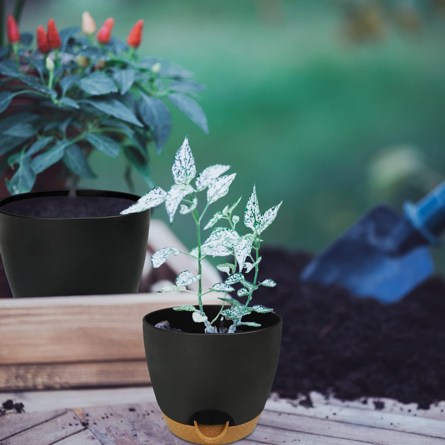 Self Watering Planters with Drainage Holes Reservoir,Nursery Planting Pot for Indoor Decor Garden Plants Succulents,Snake Plant, African Violet,Plastic Flower Pots Set 7+6.5+6+5.5+5 Inch (Black) - Image 7