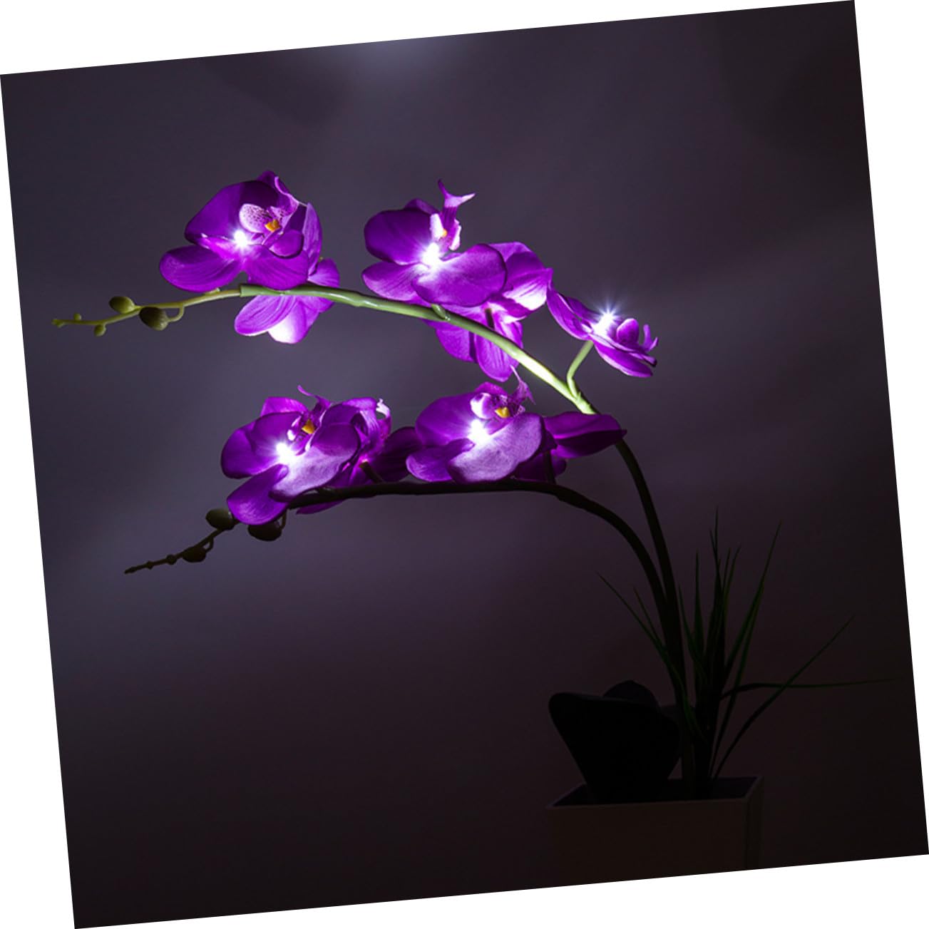 LED Orchideen Blumenlicht mit 9 LED Beads, Kreative Dekoleuchte