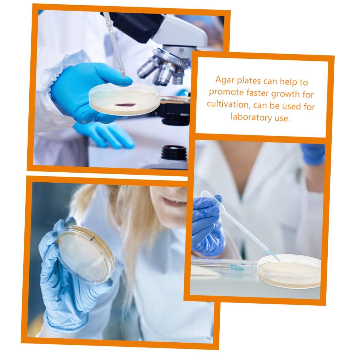 HOMOCONO 20 Pcs Nutrient Agar Plate Agar Plates for Laboratory Experiment Pre- Poured Growth Dishes Laboratory Agar Plates Petri Dish Growth Agar Plates Prepoured Agar Plates Egg