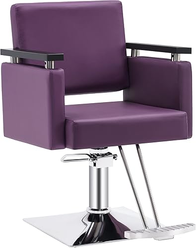 BarberPub Silla de peluquero hidráulica clásica para salón de belleza, spa, equipo de salón de belleza 8803 (morado)