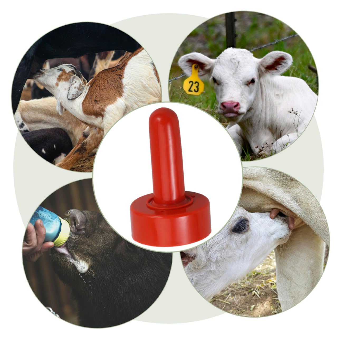 10pezzi Tettarelle in Caucciù Per Alimentazione Agnelli, Capretti e Suinetti Capezzolo Di Latte Resistente e Facile Da Pulire Per Animali Giovani in Allevamento