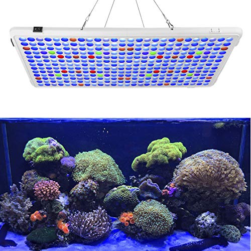 Relassy Aquarium Light, 300W Full Spectrum Led Coral Reef Light for Saltwater Freshwater Fish Tank with 2 Dimmables White & Blue Light