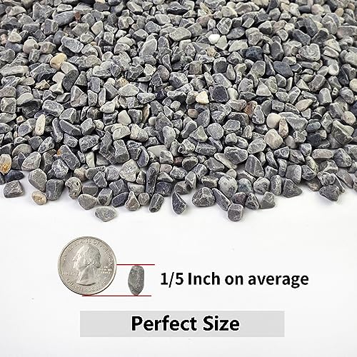 Image of YISZM 10LB Succulent and Cactus Gravel, 1 /5 Inch Natural Decorative Polished Pebbles for Landscaping, Grey River Rocks for Plants, Vases, Aquariums, Terrarium and Outdoor Gardening