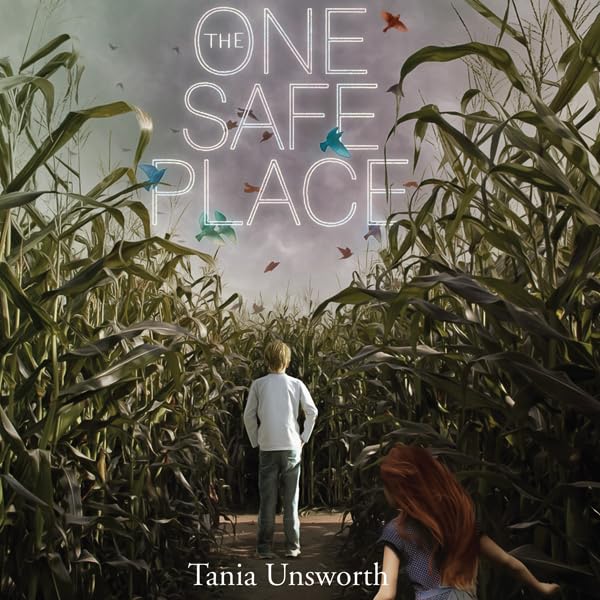 Cover art for The One Safe Place