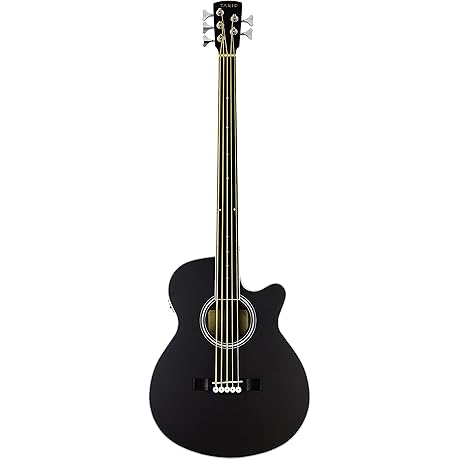 TARIO Fretless 5 String Electric Acoustic Bass: Experience Unparalleled Sonic Expression