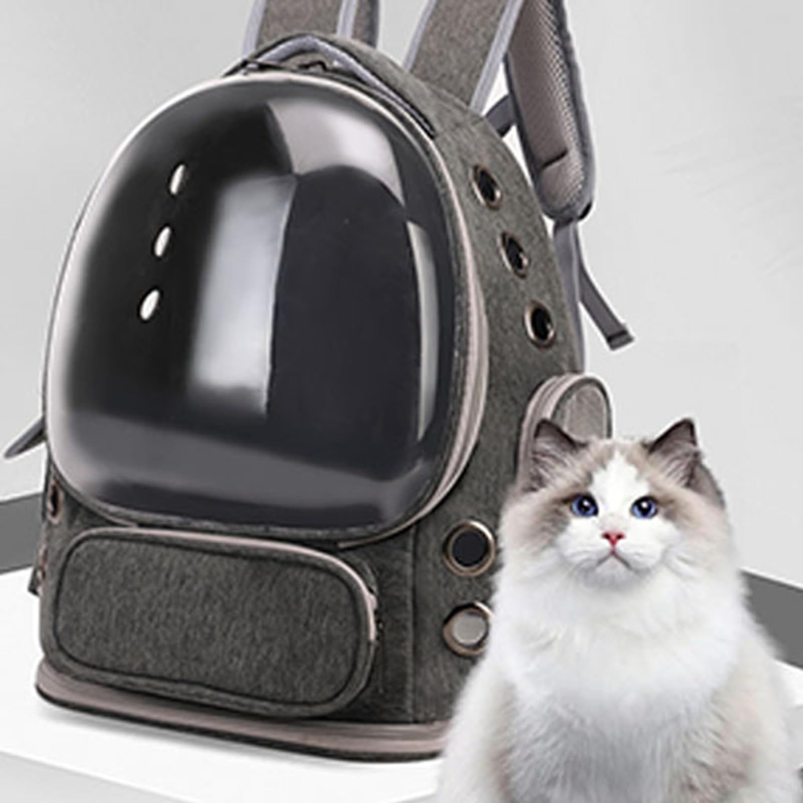 banapoy Katzen-Rucksackträger,Atmungsaktiver Großer Haustier-Rucksack mit Transparentem Fenster für Reisen,Wandern,Spazierengehen,Einkaufen,Auto, Mehrere Lüftungslöcher,Unter 6,8 Kg