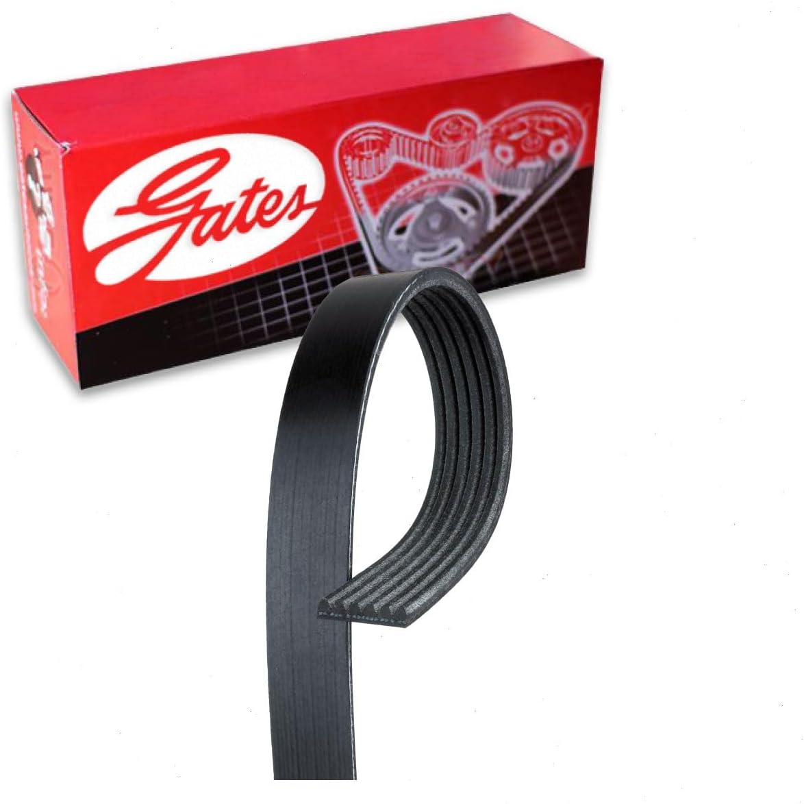 Gates Micro-V Serpentine Belt compatible with Jeep Cherokee 2.4L L4 2014-2019