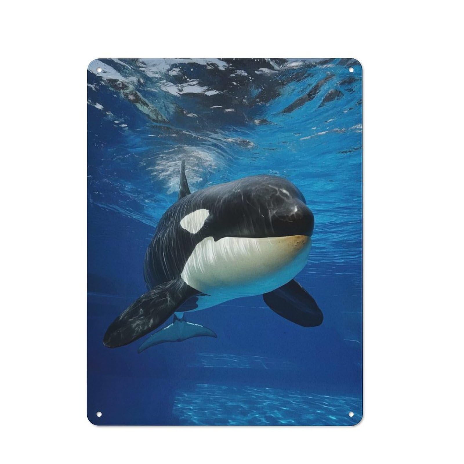 Junmoney Underwater Orca Portrait Rustic Metal Wall Sign 40X30cm For Kitchen Or Home Bar, Suited To Home Bar Enthusiasts