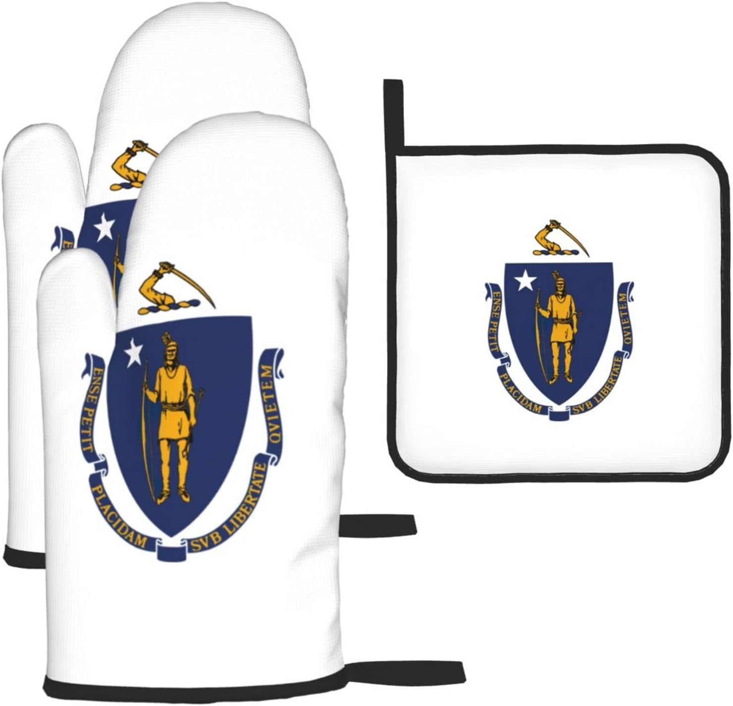Massachusetts State Flag Print Heat Resistant Microwave Gloves, Used for Baking, Cooking, and Fashion Kitchen Essentials