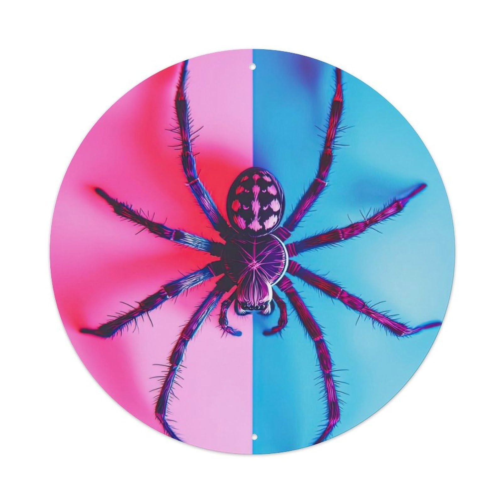 Animal Big Black Spiders Metal Tin Sign